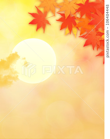 Sunset and autumn leaves Sunset and autumn leaves 106484448
