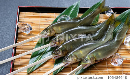 Wrinkled salmon Wrinkled salmon 106484648