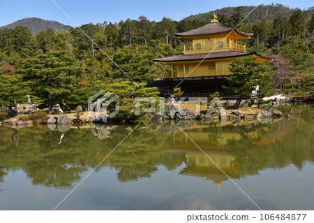 Kyoto in spring in Japan, Kinkaku-ji Temple, a world heritage site, the golden Shariden, beautiful blue sky and Rokuon-ji Garden, a large bird perched on the rock 106484877