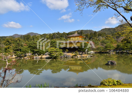 日本春天的京都、世界遺產金閣寺、金色的捨利殿、美麗的藍天和棲息在岩石上的大鳥鹿園寺花園 106484880