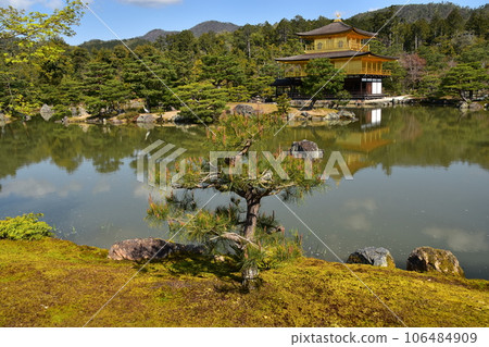 日本春天的京都、世界遺產金閣寺、金色的捨利殿、美麗的藍天和棲息在岩石上的大鳥鹿園寺花園 日本春天的京都、世界遺產金閣寺、金色的捨利殿、美麗的藍天和棲息在岩石上的大鳥鹿園寺花園 106484909
