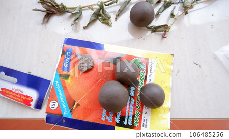 clay ball clay ball 106485256