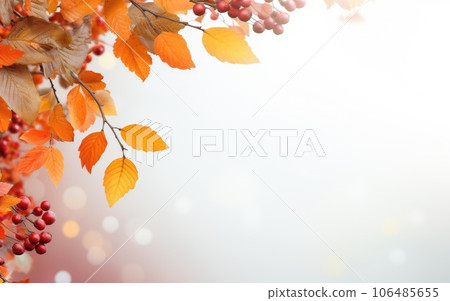 Autumn background with yellow leaves. Colorful autumn foliage. beginning of autumn. 106485655