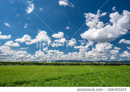 淀川河公園夏季景觀 淀川河公園夏季景觀 106485825