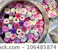 cute flower water 106485874