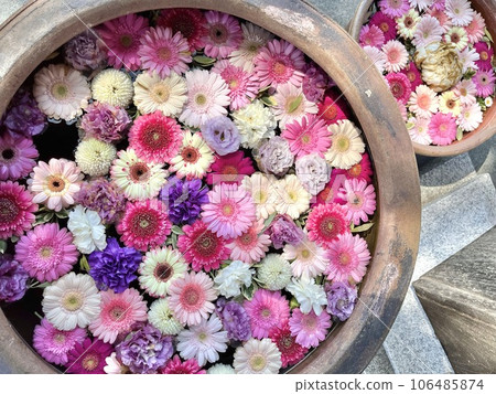 cute flower water 106485874