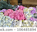Bamboo Shrine Flower Hand Water 106485894