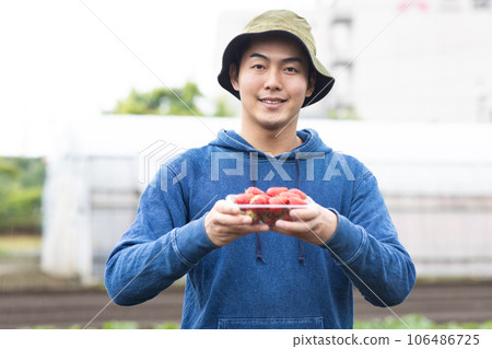 種植草莓的年輕人 106486725