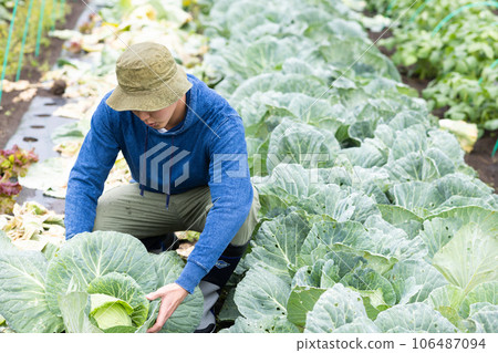 farmer man 106487094