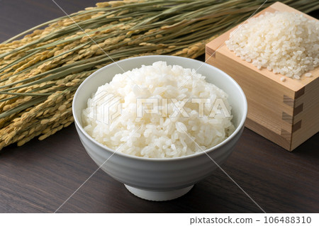 新圖片。稻米，稻穗，稻穗。 106488310