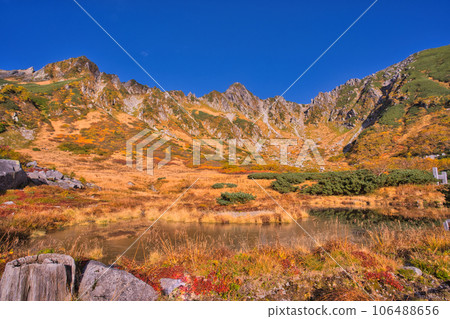 Autumn leaves of Senjojiki Karl 106488656