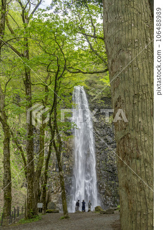 Tourists looking at the waterfall of Mt. Chokai Tourists looking at the waterfall of Mt. Chokai 106488989