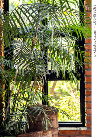 Big window with greenery. Fragment of rustic house. Big window with greenery. Fragment of rustic house. 106489265