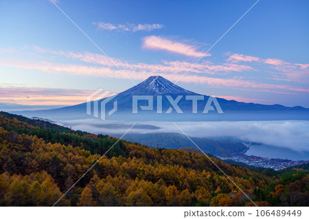 (Yamanashi Prefecture) Yellow leaves of larch, sea of clouds over Lake Kawaguchi and Mt. Fuji at dawn 106489449