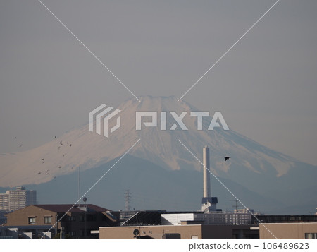 Mt.Fuji with a pure white cap of snow on a sunny day in winter 106489623