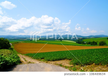 Biei's rural scenery, Hokkaido 106489634