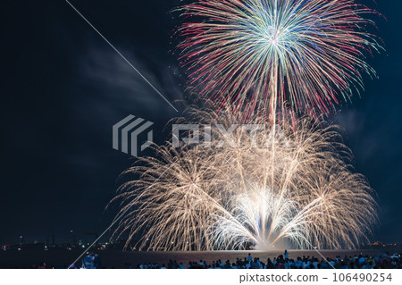 The big bloom in the night sky 106490254