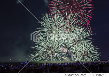 The big bloom in the night sky 106490255