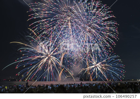 The big bloom in the night sky The big bloom in the night sky 106490257