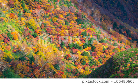 秋季攀登足立度母山：黑金小屋附近的紅葉 106490605