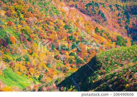 秋季攀登足立度母山：黑金小屋附近的紅葉 106490606