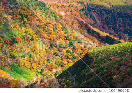 Climbing Mt. Adatara in autumn: Autumn leaves near Kurogane hut Climbing Mt. Adatara in autumn: Autumn leaves near Kurogane hut 106490608