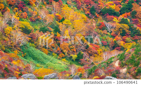 Climbing Mt. Adatara in autumn: Autumn leaves near Kurogane hut 106490641
