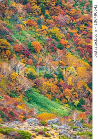 Climbing Mt. Adatara in autumn: Autumn leaves near Kurogane hut Climbing Mt. Adatara in autumn: Autumn leaves near Kurogane hut 106490642