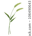 Illustration of two green foxtails 106490643