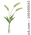 Illustration of three foxtail grass 106490645