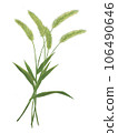 An illustration of a bunch of wild foxtails 106490646