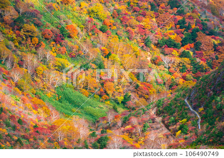 秋季攀登足立度母山:黑金小屋附近的紅葉 秋季攀登足立度母山:黑金小屋附近的紅葉 106490749