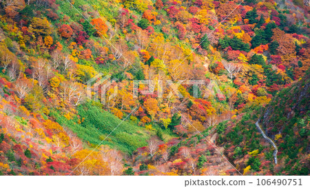 秋季攀登足立度母山：黑金小屋附近的紅葉 106490751