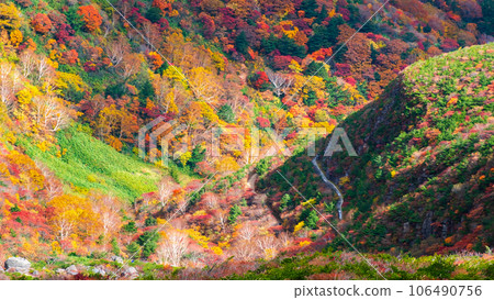 Climbing Mt. Adatara in autumn: Autumn leaves near Kurogane hut Climbing Mt. Adatara in autumn: Autumn leaves near Kurogane hut 106490756
