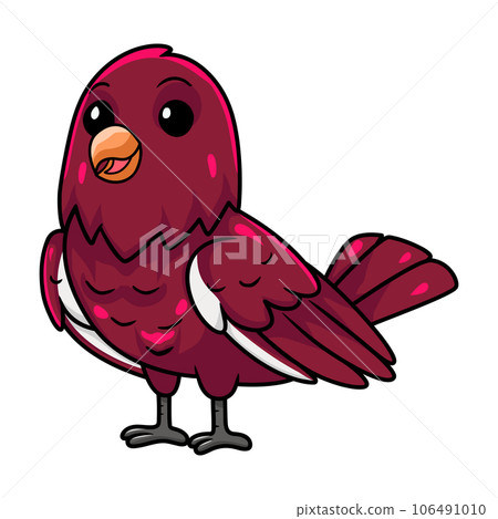 Cute pompadour cotinga bird cartoon 106491010