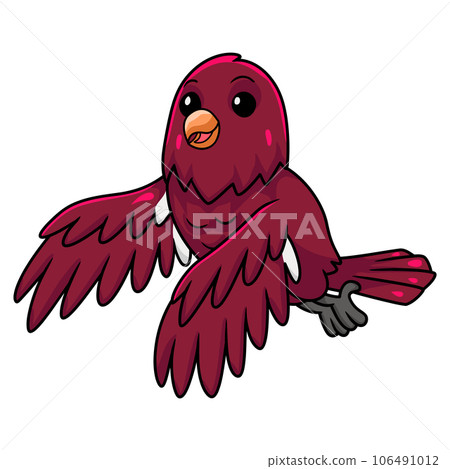 Cute pompadour cotinga bird cartoon flying 106491012