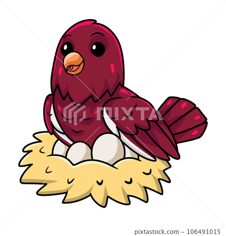 Cute pompadour cotinga bird cartoon with eggs in the nest 106491015