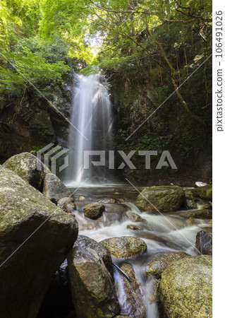 A waterfall in the valley that shines in the fresh greenery A waterfall in the valley that shines in the fresh greenery 106491026