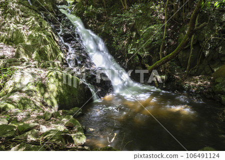 A waterfall in the valley that shines in the fresh greenery A waterfall in the valley that shines in the fresh greenery 106491124