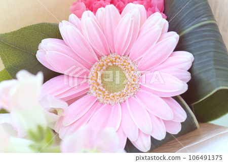 Flower arrangement of pink gerbera flowers 106491375