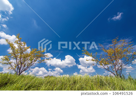 Signs of autumn "Landscape/background material" 106491526