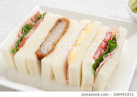 Sandwich Sandwich 106491952
