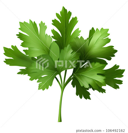 vegetable, food, fresh, parsley, vegetarian, green, ingredient, raw, leaf, healthy, organic, isolated, background, plant, pepper, herb, tomato, natural, carrot, health, nature, seasoning, onion, brocc vegetable, food, fresh, parsley, vegetarian, green, ingredient, raw, leaf, healthy, organic, isolated, background, plant, pepper, herb, tomato, natural, carrot, health, nature, seasoning, onion, brocc 106492162