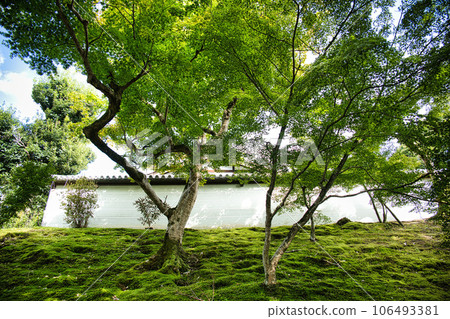 滿州院門跡，洛北最著名的寺廟之一 106493381