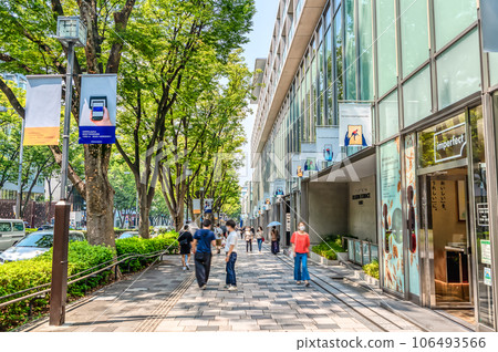 東京澀谷城市景觀表參道 東京澀谷城市景觀表參道 106493566