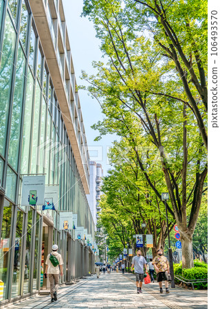 Tokyo Shibuya cityscape Omotesando 106493570
