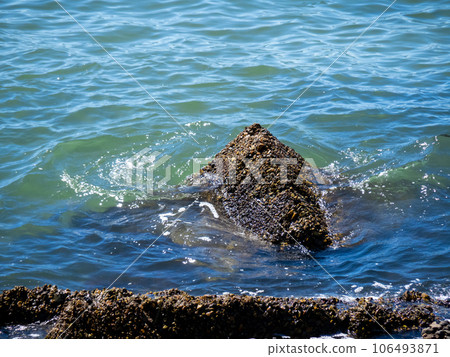 夏季，平靜的瀨戶內海沿岸波濤洶湧。 106493871