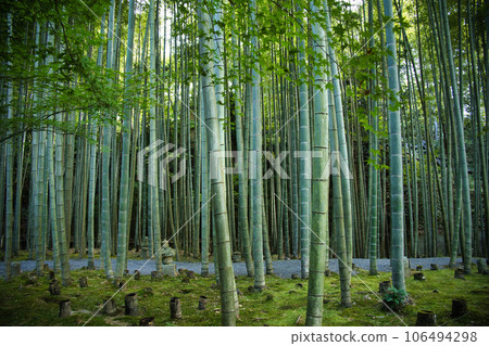 Shokoji Temple Takebayashi 106494298