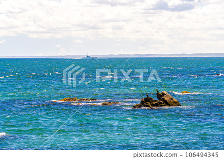 平磯海 平磯海 106494345