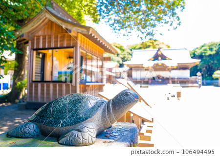 坂列磯崎神社的招財龜 106494495